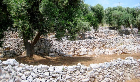 Muretti a secco, un'antica arte: �Ma ormai li sanno fare solo gli albanesi�